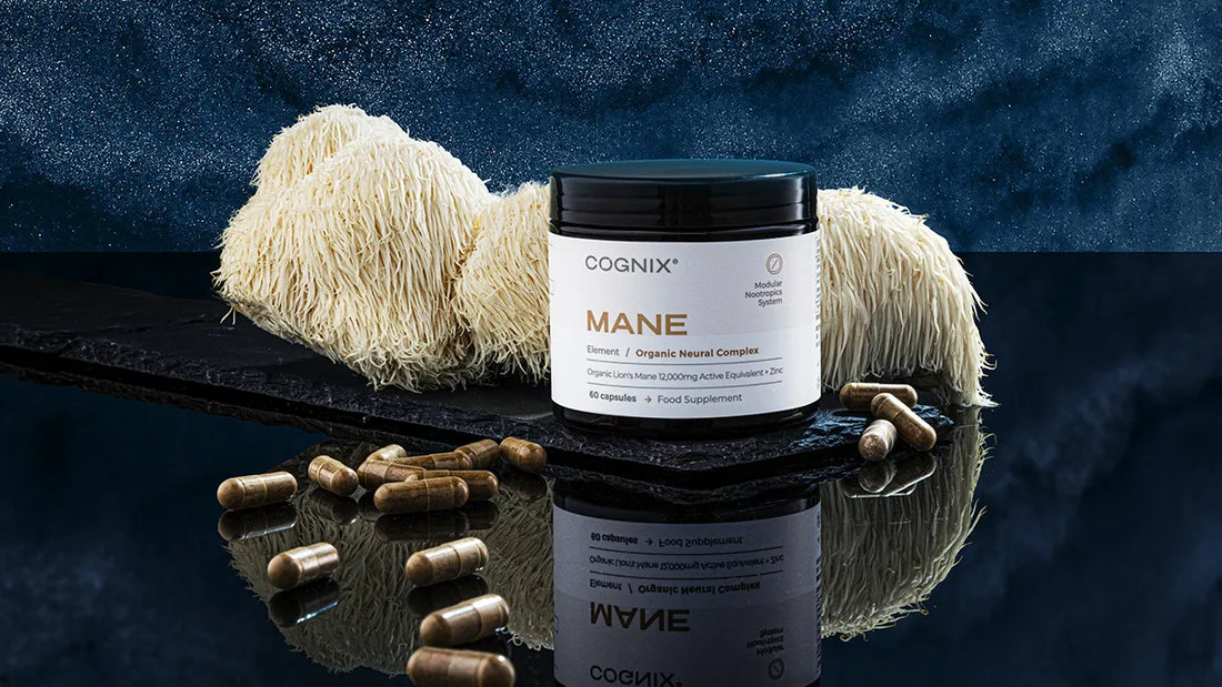 Cognix MANE Hero Product Photo showing illuminated Lions Mane Mushroom - 60 capsules - Food Supplement  - Lions Mane 