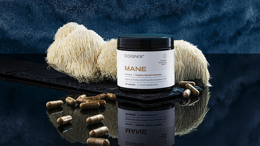 Cognix MANE Hero Product Photo showing illuminated Lions Mane Mushroom - 60 capsules - Food Supplement  - Lions Mane 
