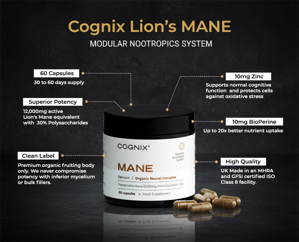 Lion's MANE 12'000mg | Purest and most Potent Lions Mane Supplement with Zinc and BioPerine®
