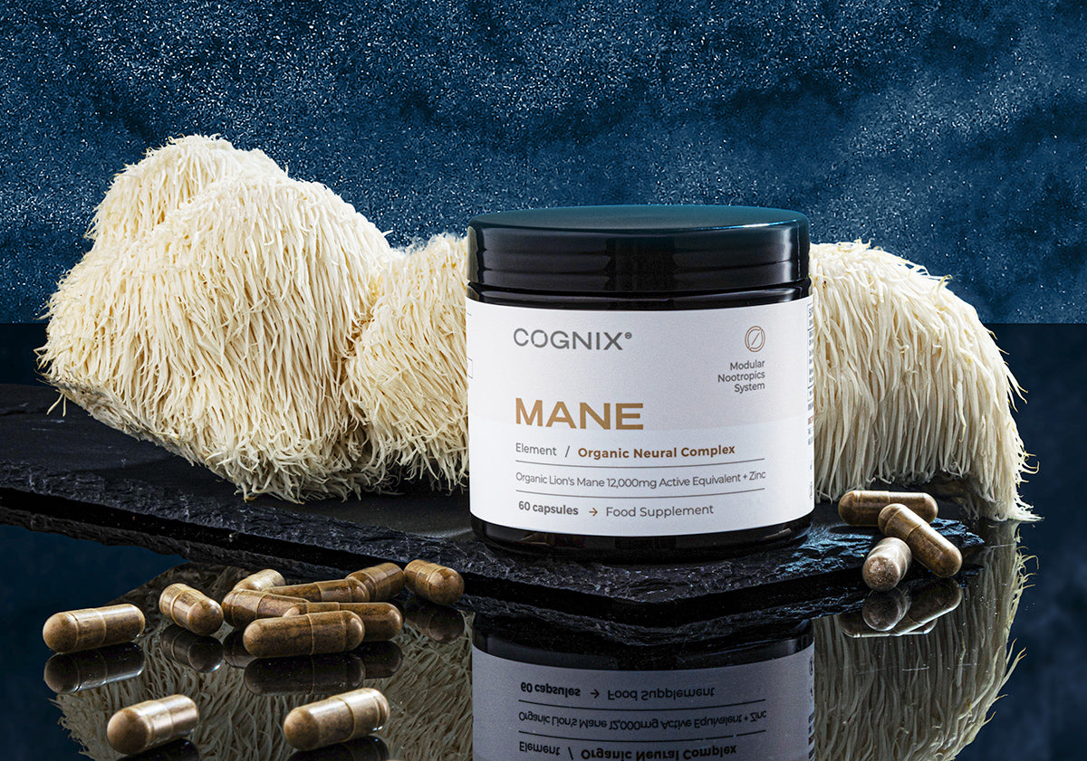 Lion's MANE 12'000mg | Purest and most Potent Lions Mane Supplement with Zinc and BioPerine®